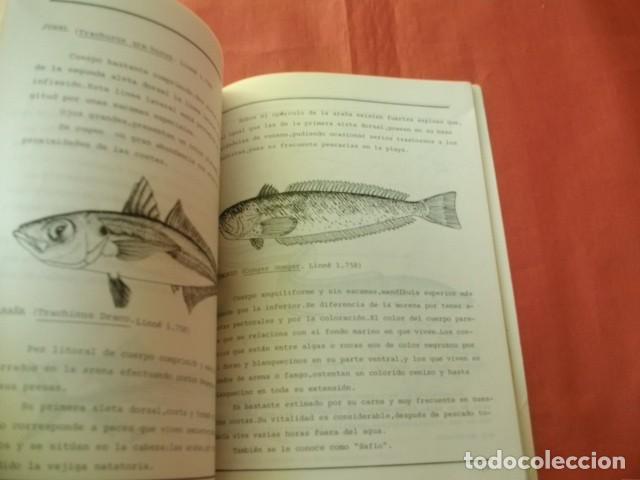 Libros de segunda mano: LA LONJA DEL PUERTO DE M&Aacute;LAGA - Foto 2