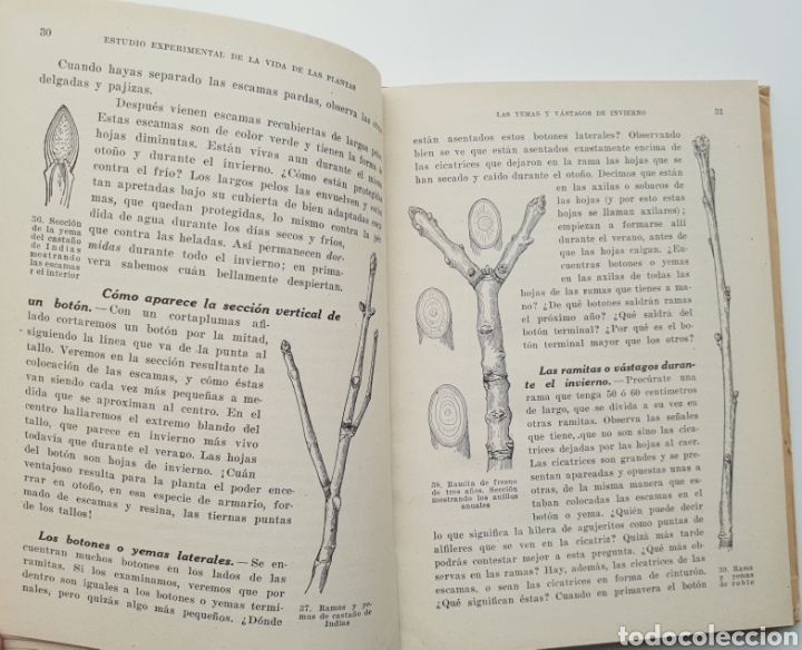 Libros de segunda mano: Estudio experimental de la vida de las plantas - Foto 3