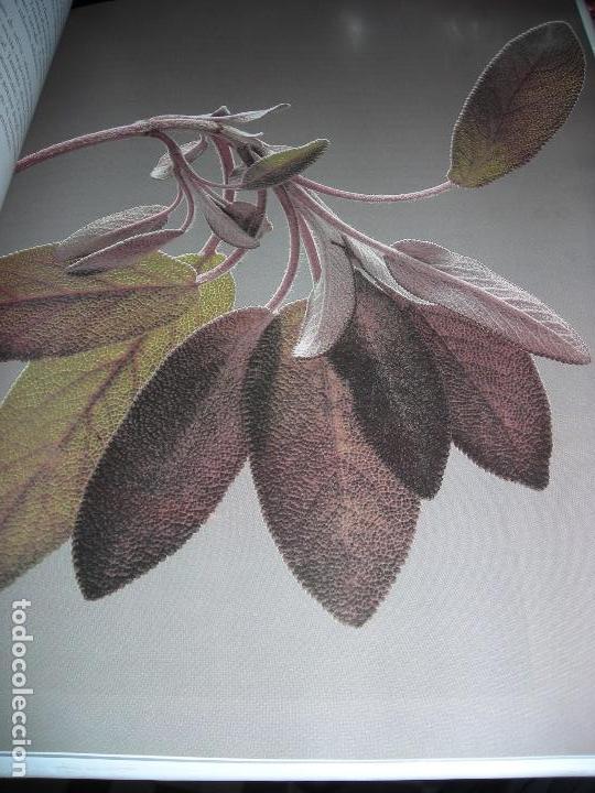 Libros de segunda mano: HIERBAS UNA GU&Iacute;A COMPLETA PARA CONOCER, CULTIVAR Y UTILIZAR LAS HIERBAS - Foto 3