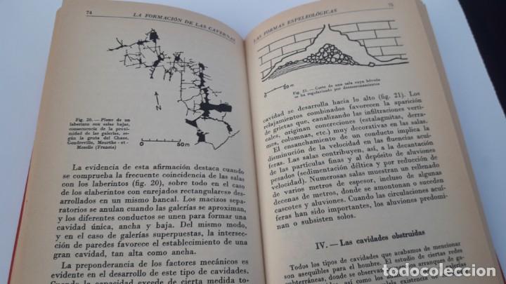 Libros de segunda mano: LA FORMACI&Oacute;N DE LAS CAVERNAS. (Philippe Renault) - Foto 3
