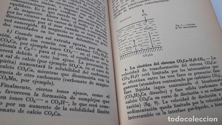 Libros de segunda mano: LA FORMACI&Oacute;N DE LAS CAVERNAS. (Philippe Renault) - Foto 5