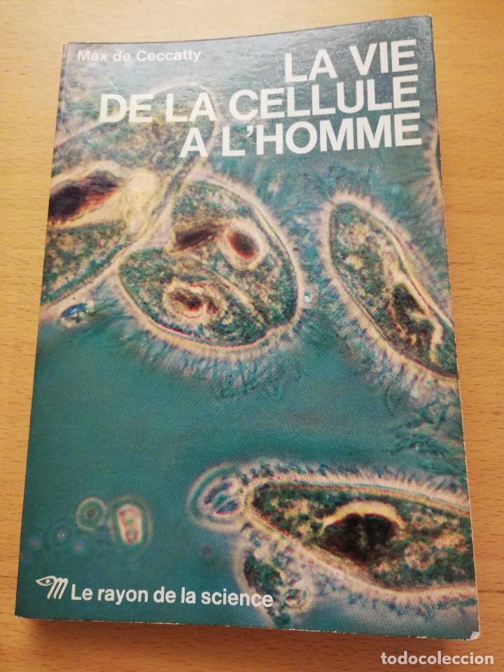 Libros de segunda mano: LA VIE DE LA CELLULE A LHOMME (MAX DE CECCATTY) LE RAYON DE LA SCIENCE - Foto 1
