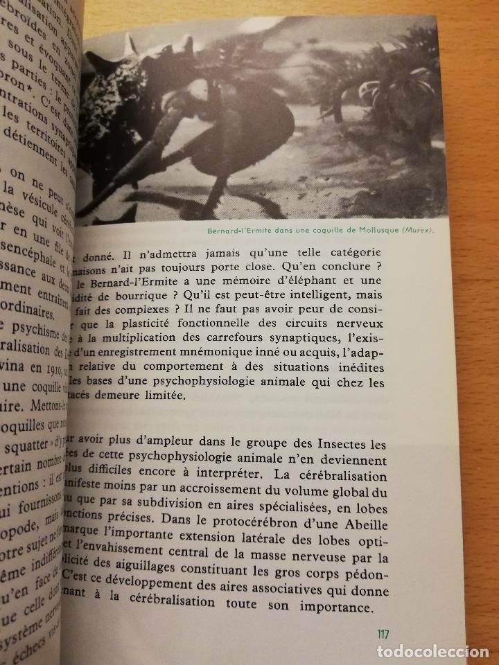 Libros de segunda mano: LA VIE DE LA CELLULE A LHOMME (MAX DE CECCATTY) LE RAYON DE LA SCIENCE - Foto 4