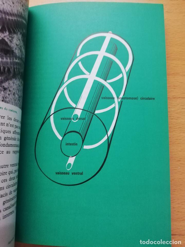 Libros de segunda mano: LA VIE DE LA CELLULE A LHOMME (MAX DE CECCATTY) LE RAYON DE LA SCIENCE - Foto 6