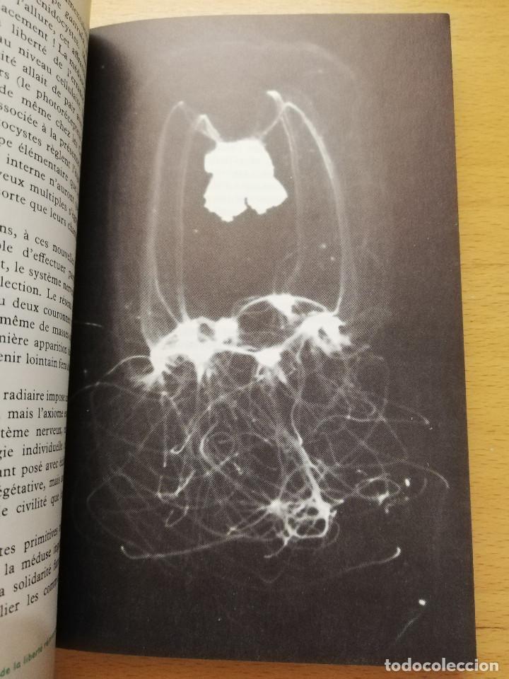 Libros de segunda mano: LA VIE DE LA CELLULE A LHOMME (MAX DE CECCATTY) LE RAYON DE LA SCIENCE - Foto 7