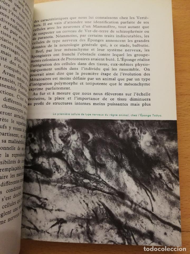 Libros de segunda mano: LA VIE DE LA CELLULE A LHOMME (MAX DE CECCATTY) LE RAYON DE LA SCIENCE - Foto 8