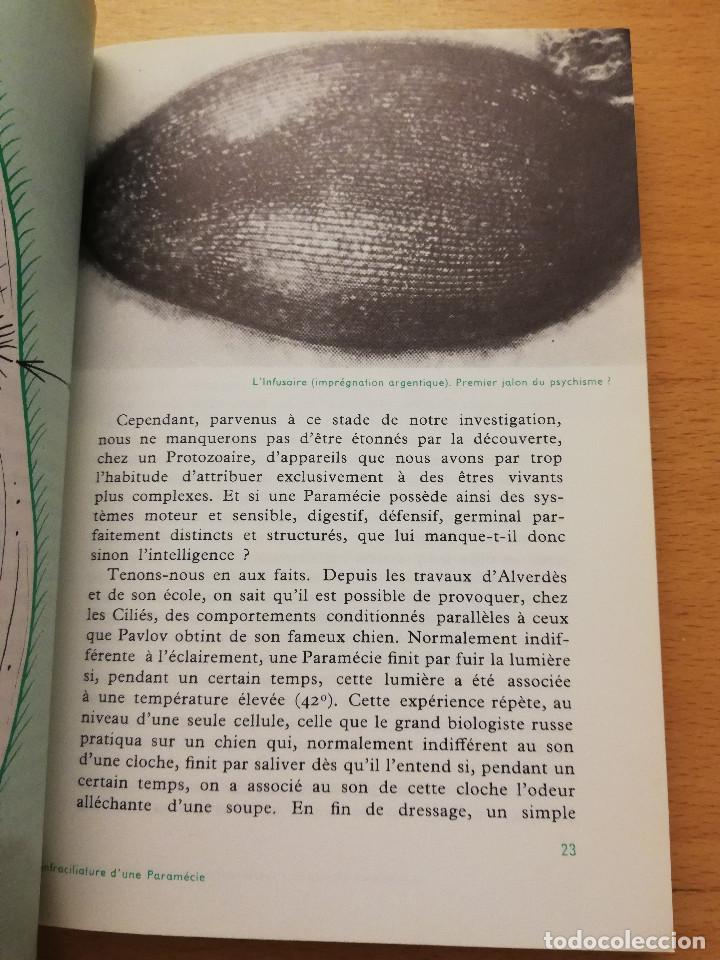 Libros de segunda mano: LA VIE DE LA CELLULE A LHOMME (MAX DE CECCATTY) LE RAYON DE LA SCIENCE - Foto 9