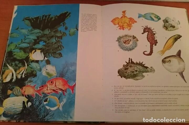 Libros de segunda mano: EL HOMBRE EN EL FONDO DEL MAR - Foto 2