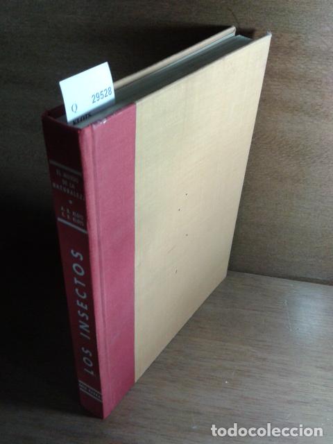 Libros de segunda mano: KLOTS, Alexander B. y KLOTS, Elsie B. - LOS INSECTOS. - Foto 1