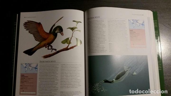 Libros de segunda mano: El libro completo de los dinosoaurios - Foto 2