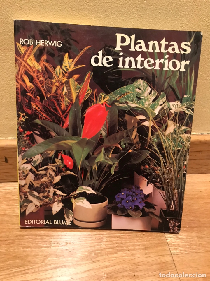 Libros de segunda mano: Plantas de interior Rob Herwig - Foto 1