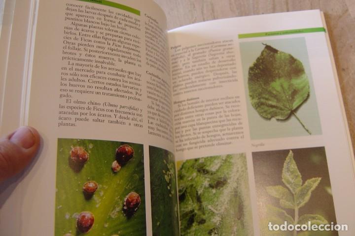 Libros de segunda mano: COMO SELECCIONAR Y CUIDAR BONSAIS. WERNER M. BUSCH. ED. CEAC 1996 - Foto 5