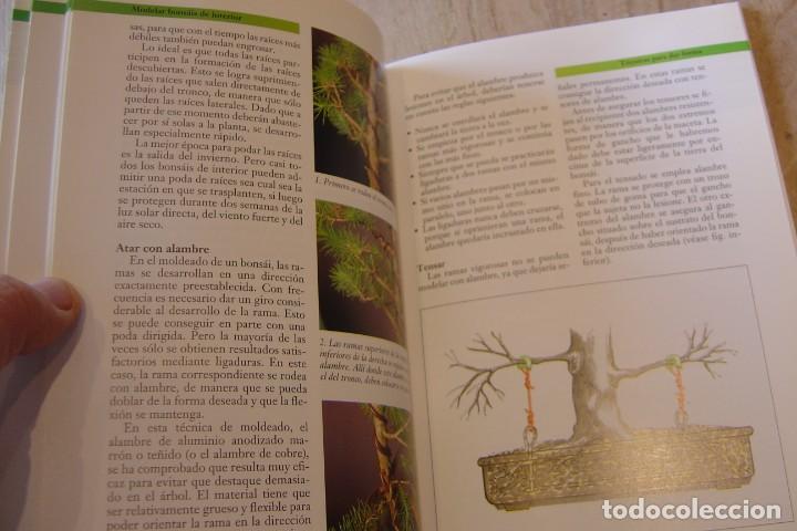 Libros de segunda mano: COMO SELECCIONAR Y CUIDAR BONSAIS. WERNER M. BUSCH. ED. CEAC 1996 - Foto 6