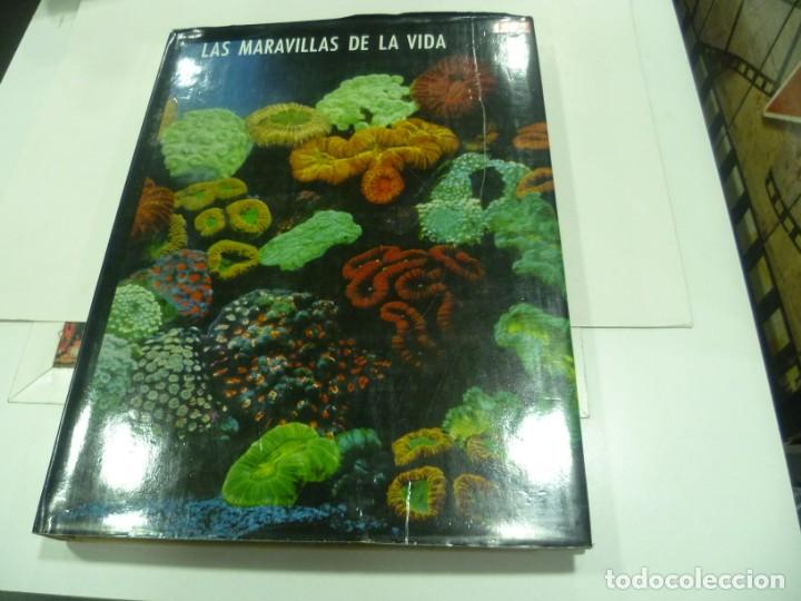 Libros de segunda mano: Libro de la revista LIFE: Las maravillas de la vida - Foto 1