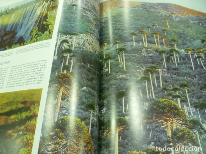 Libros de segunda mano: Libro de la revista LIFE: Las maravillas de la vida - Foto 2