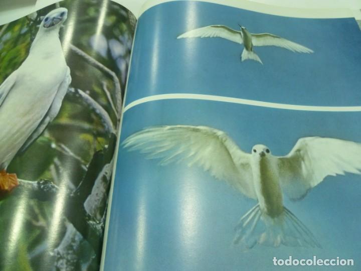 Libros de segunda mano: Libro de la revista LIFE: Las maravillas de la vida - Foto 3