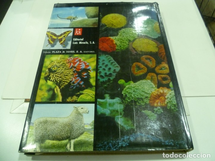 Libros de segunda mano: Libro de la revista LIFE: Las maravillas de la vida - Foto 4