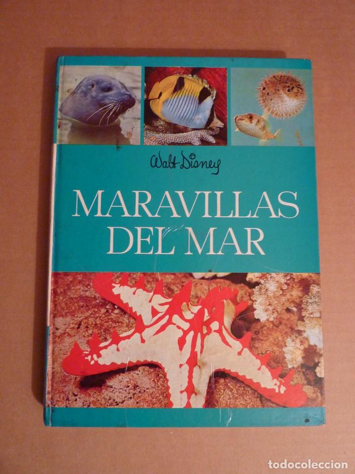 Libros de segunda mano: LIBRO MARAVILLAS DEL MAR WALT DISNEY A&Ntilde;O 1975 - Foto 1