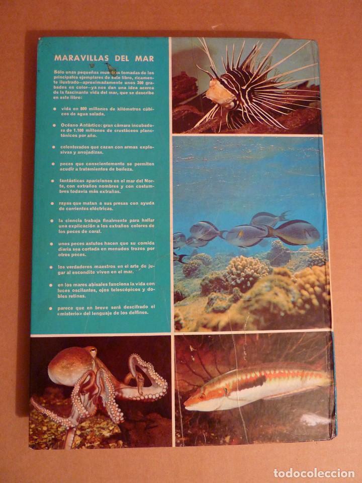 Libros de segunda mano: LIBRO MARAVILLAS DEL MAR WALT DISNEY A&Ntilde;O 1975 - Foto 2