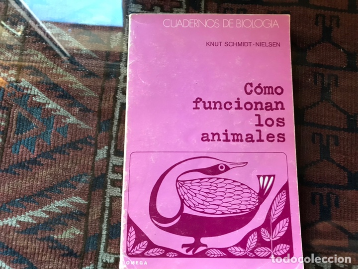 Libros de segunda mano: C&oacute;mo funcionan los anilmales. Knut Schmidt-Nielsen. Omega. - Foto 1