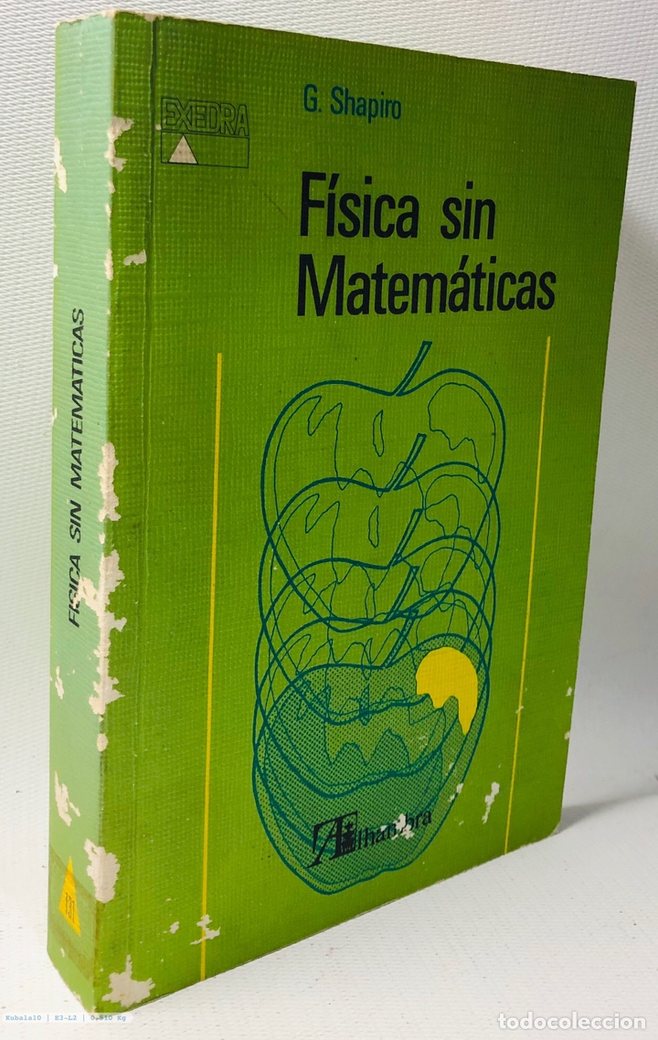 Libros de segunda mano de ciencias: FISICA SIN MATEMATICAS - G. SHAPIRO - Foto 1