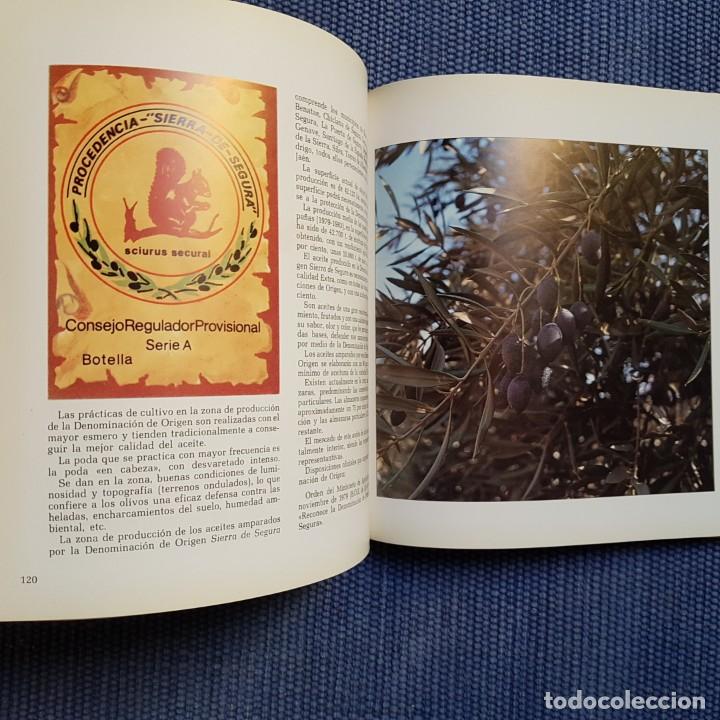 Libros de segunda mano: Las ra&iacute;ces del aceite de oliva. Aceites de oliva virgen - Foto 2