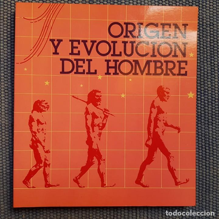 Libros de segunda mano: Ripoll L&oacute;pez, Sergio: Origen y evoluci&oacute;n del hombre - Foto 1