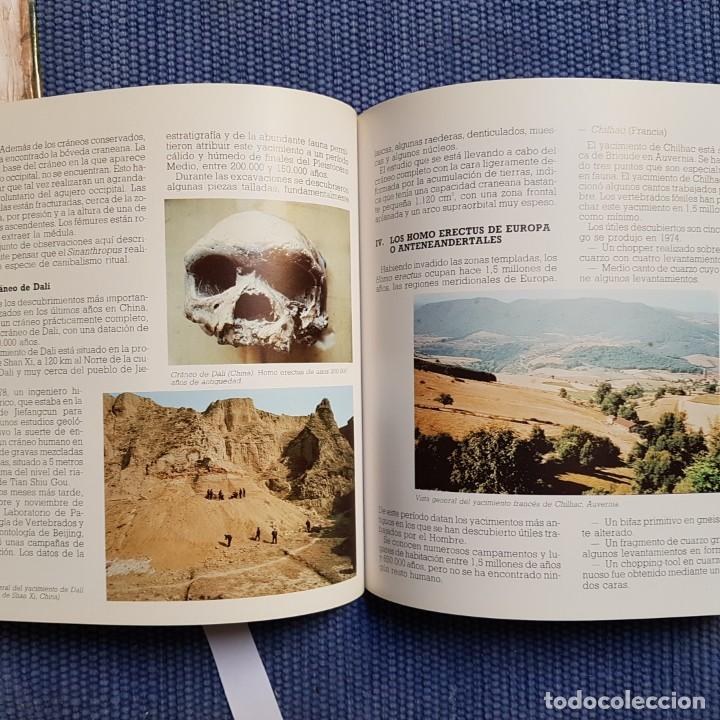 Libros de segunda mano: Ripoll L&oacute;pez, Sergio: Origen y evoluci&oacute;n del hombre - Foto 2