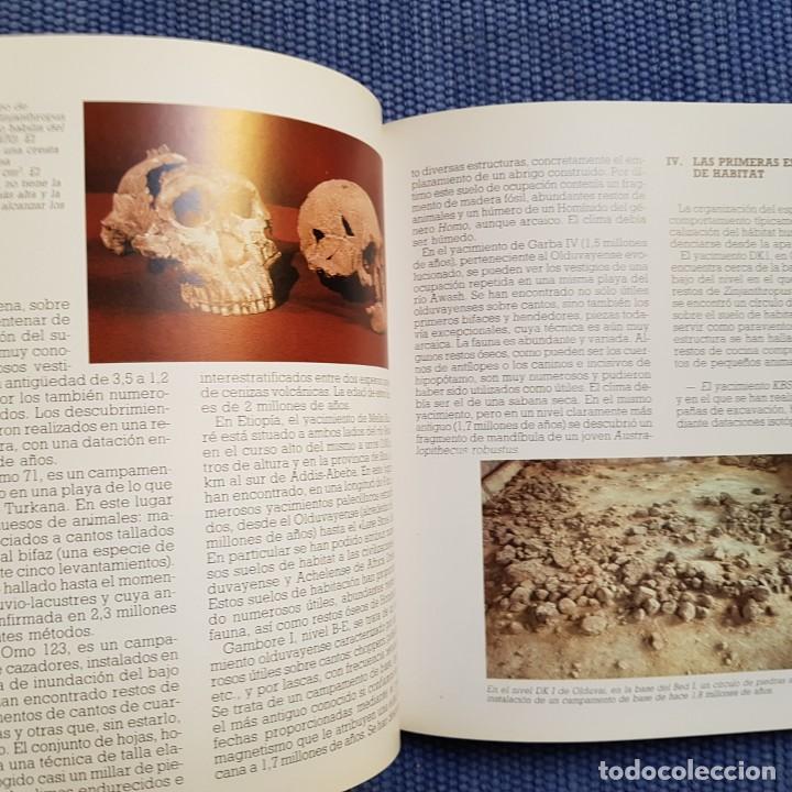 Libros de segunda mano: Ripoll L&oacute;pez, Sergio: Origen y evoluci&oacute;n del hombre - Foto 3
