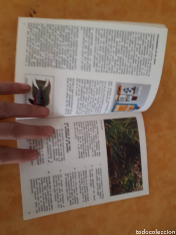 Libros de segunda mano: Piedra miliar de la acuar&iacute;stica. Ed. Tetra. 34 pp. - Foto 2