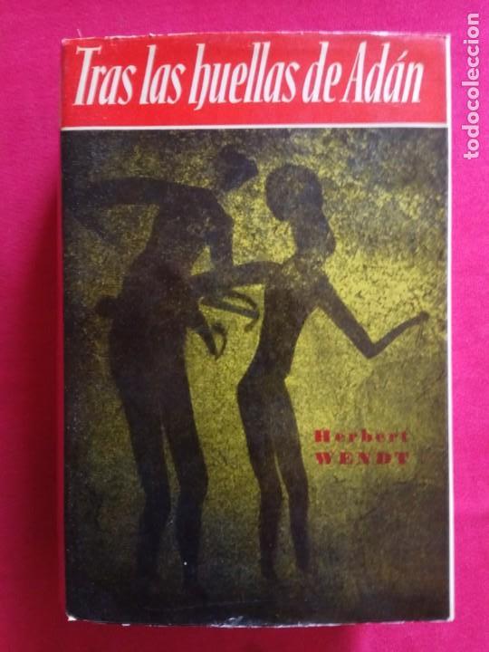 Libros de segunda mano: TRAS LAS HUELLAS DE ADAN. H. WENDT - Foto 1