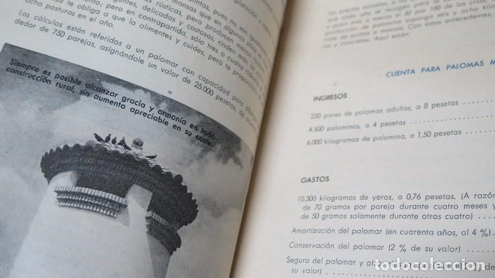 Libros de segunda mano: PALOMARES. INSTITUTO NACIONAL DE COLONIZACIONES - Foto 2