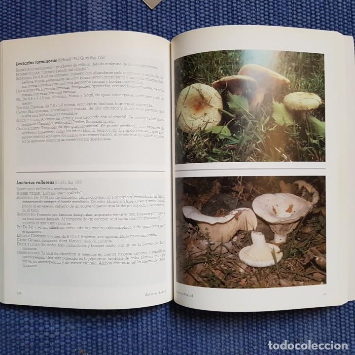 Libros de segunda mano: Diego Calogne, Francisco de: Setas de Madrid - Foto 2
