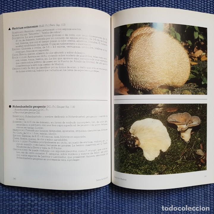 Libros de segunda mano: Diego Calogne, Francisco de: Setas de Madrid - Foto 3