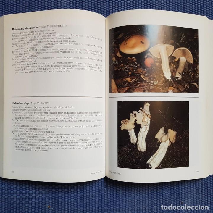 Libros de segunda mano: Diego Calogne, Francisco de: Setas de Madrid - Foto 4