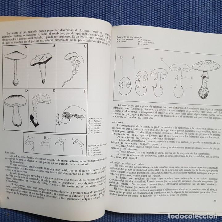 Libros de segunda mano: Pascual, Ram&oacute;n: El libro de las setas - Foto 3