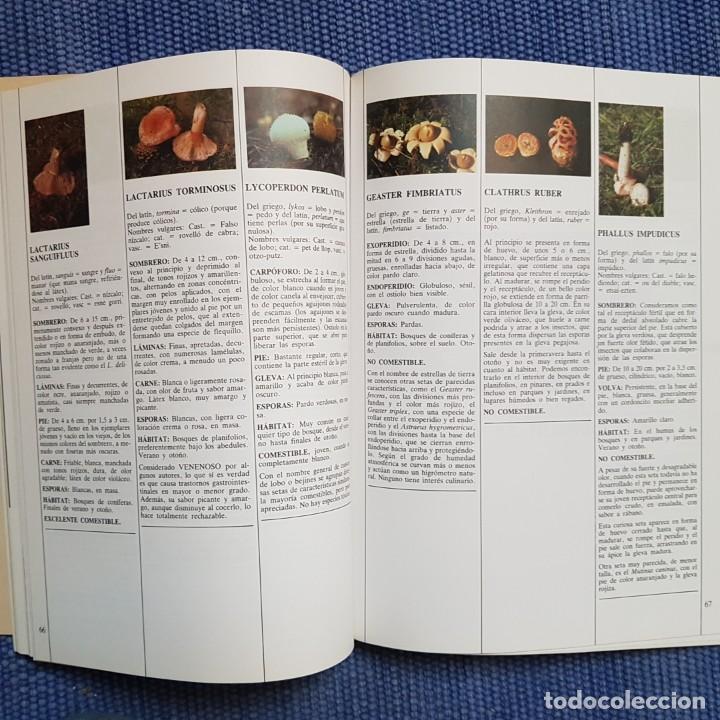 Libros de segunda mano: Pascual, Ram&oacute;n: El libro de las setas - Foto 2