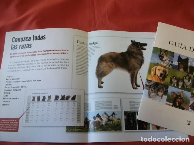 Libros de segunda mano: GRAN ENCICLOPEDIA DEL PERRO - RBA EDITORES (COMPLETA EN 30 TOMOS) - Foto 3