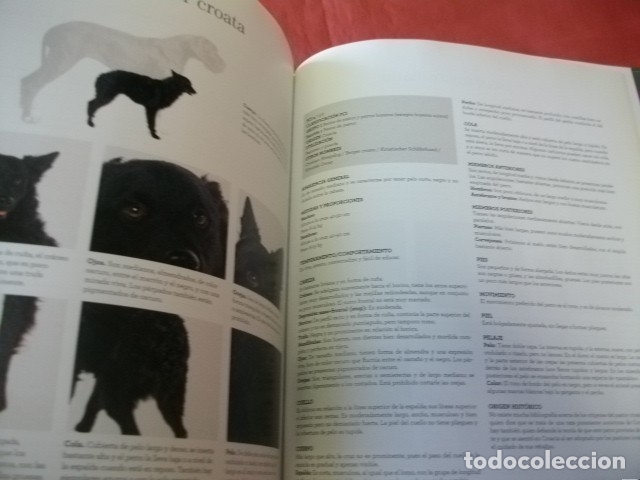 Libros de segunda mano: GRAN ENCICLOPEDIA DEL PERRO - RBA EDITORES (COMPLETA EN 30 TOMOS) - Foto 4
