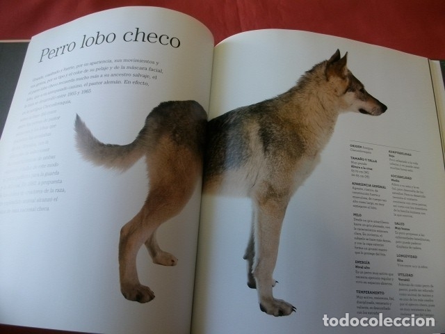 Libros de segunda mano: GRAN ENCICLOPEDIA DEL PERRO - RBA EDITORES (COMPLETA EN 30 TOMOS) - Foto 5
