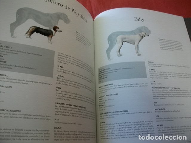 Libros de segunda mano: GRAN ENCICLOPEDIA DEL PERRO - RBA EDITORES (COMPLETA EN 30 TOMOS) - Foto 6