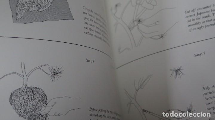 Libros de segunda mano: BONSAI. CHRISTINE STEWART - Foto 3