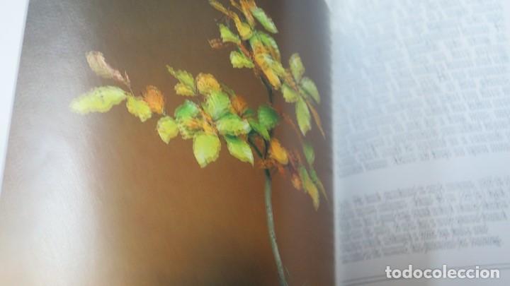 Libros de segunda mano: BONSAI. CHRISTINE STEWART - Foto 4
