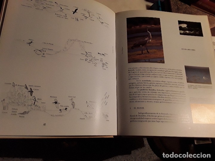 Libros de segunda mano: Oyambre, espacio natural. Cantabria. - Foto 4