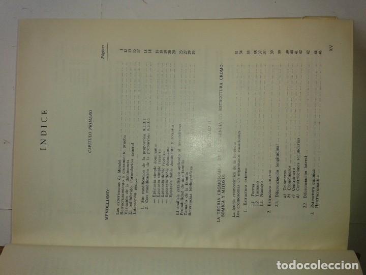 Libros de segunda mano: GEN&Eacute;TICA 1976 JUAN RAM&Oacute;N LACADENA 2&ordf; EDICI&Oacute;N - Foto 3
