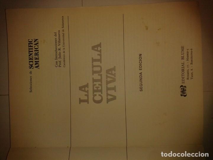 Libros de segunda mano: LA C&Eacute;LULA VIVA 1970 SCIENTIFIC AMERICAN 2&ordf; EDICI&Oacute;N BLUME - Foto 2