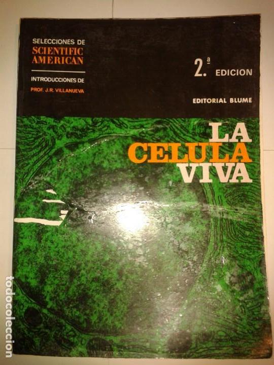 Libros de segunda mano: LA C&Eacute;LULA VIVA 1970 SCIENTIFIC AMERICAN 2&ordf; EDICI&Oacute;N BLUME - Foto 1