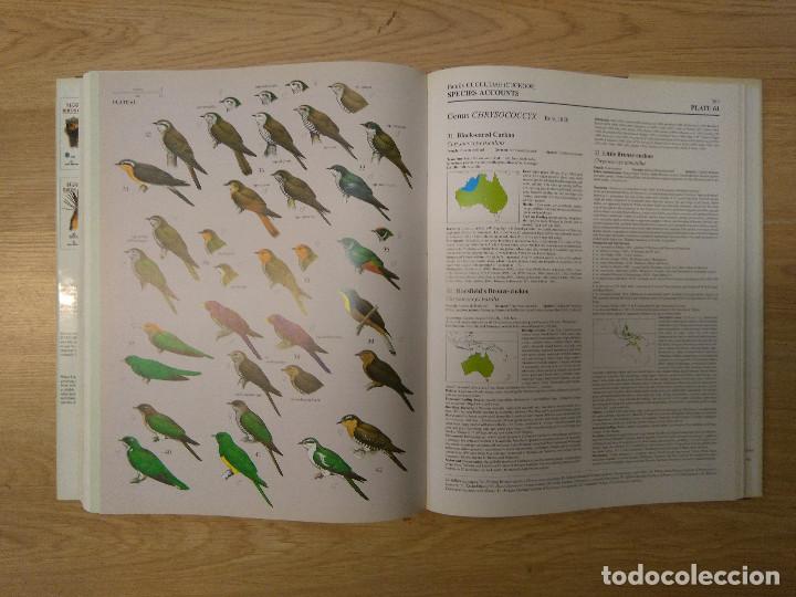 handbook of the birds of the world volume 7