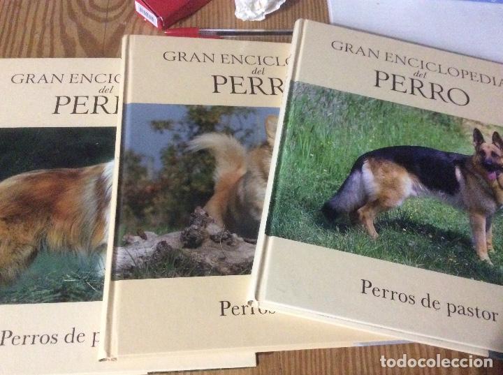 Libros de segunda mano: Gran enciclopedia del perro - Perros de pastor - N&ordm; 1. 2 y 3 - Foto 1