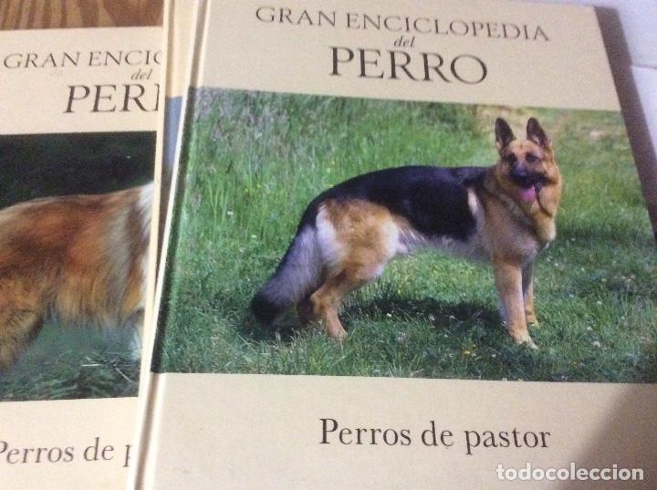 Libros de segunda mano: Gran enciclopedia del perro - Perros de pastor - N&ordm; 1. 2 y 3 - Foto 2